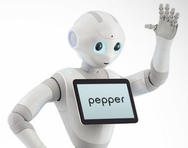  Pepper