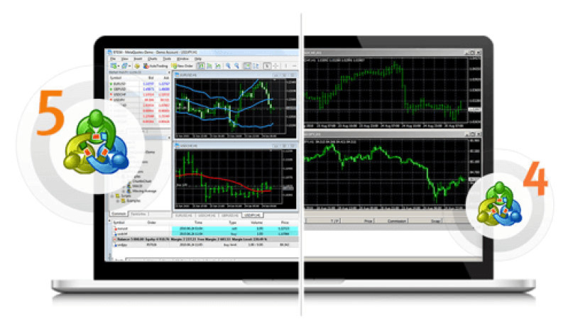   MetaTrader 5  