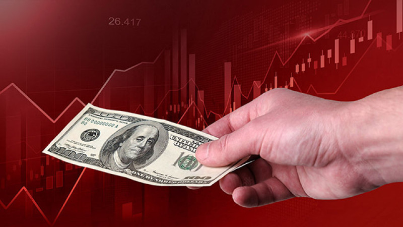 How to Trade Forex with $100 for any Trader