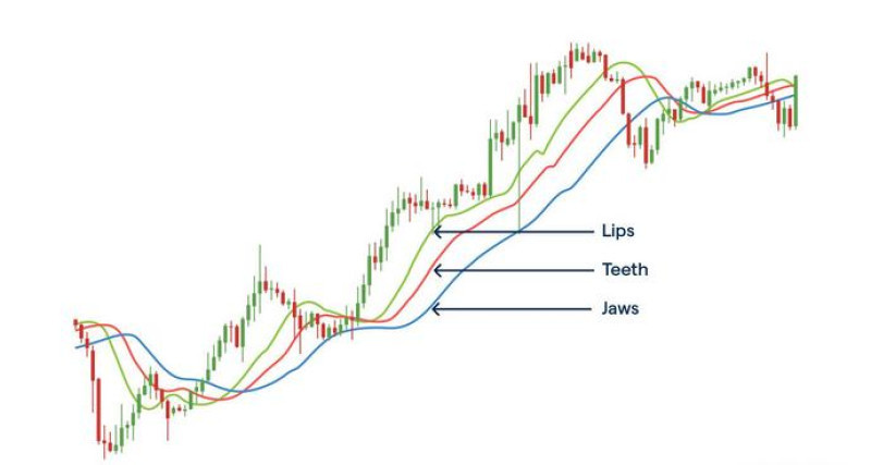 The Alligator indicator consists of three curves and overlays the price chart