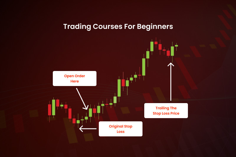 Trading courses for beginners