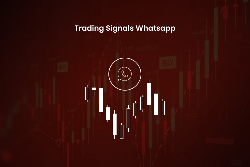 WhatsApp and Telegram trading signals