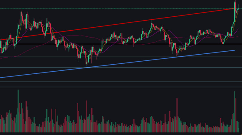        , Stochastic RSI, MACD  Moving Average