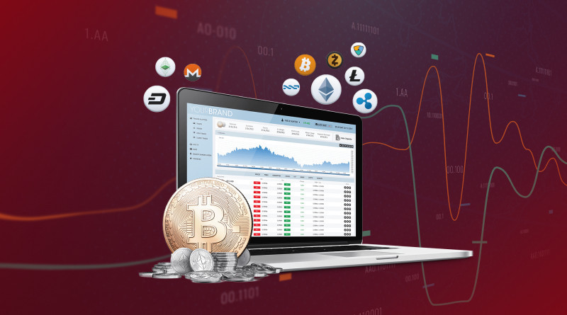 Cryptocurrency Trading for Beginners