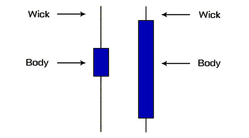 Each candlestick on the chart consists of a body and shadows