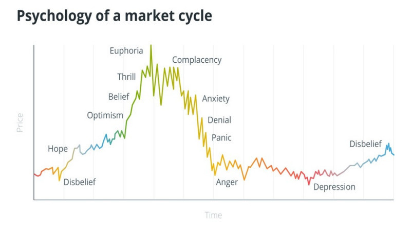 Каждый торговый цикл на рынке криптовалют вызывает определенные эмоции у участников торгов