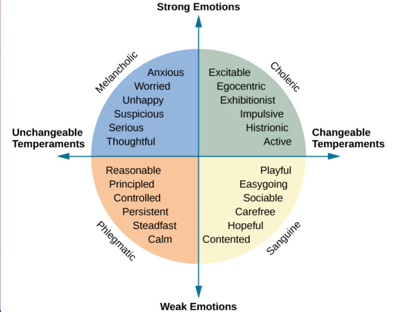 на иллюстрации демонстрируются четыре основных типа темперамента и их краткая характеристика