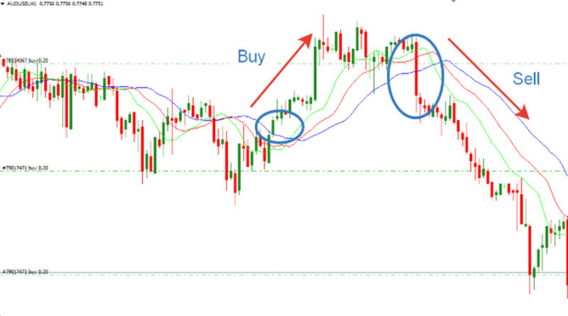 Alligator Method: Buy and sell signals are generated after the completion of the sleeping phase