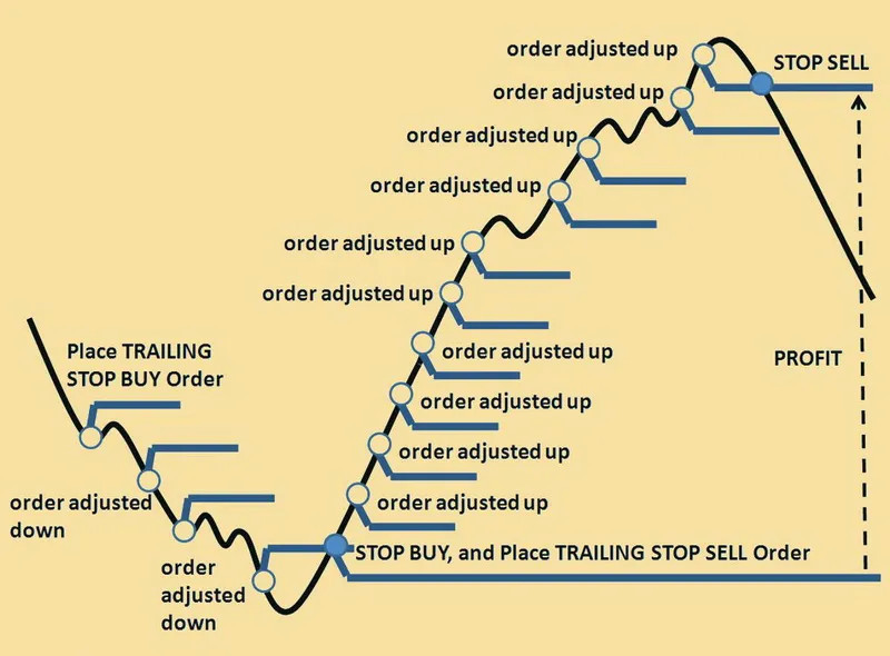 Demonstration of the TS indicator's operation.