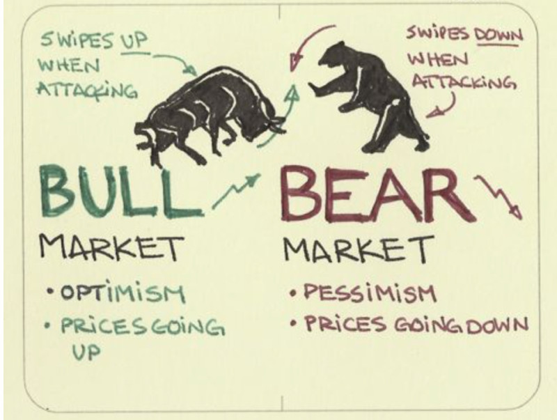 The image illustrates the key differences between "bulls" and "bears" in the market.