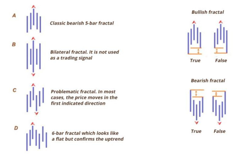 The illustration demonstrates various types of fractals, as well as the differences between true and false ones