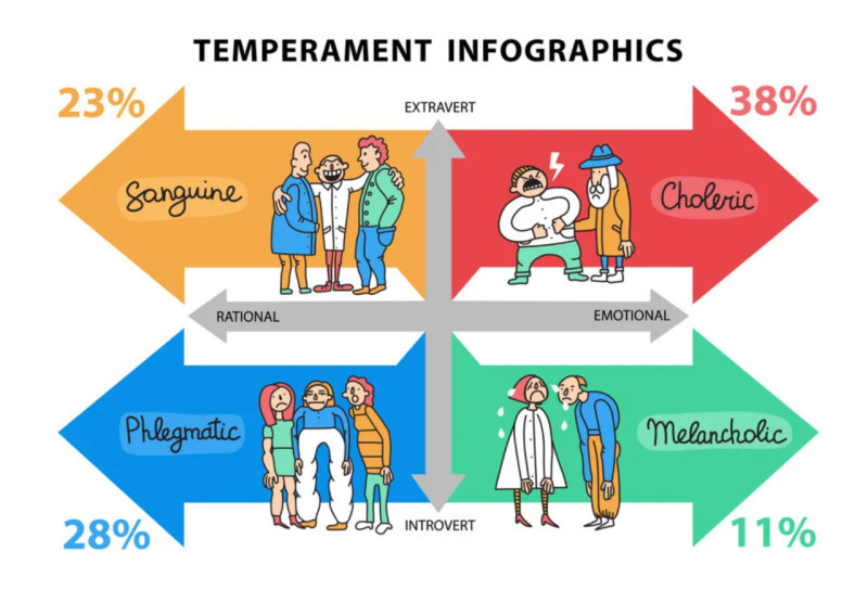 The illustration displays the main types of temperaments and their characteristic features.