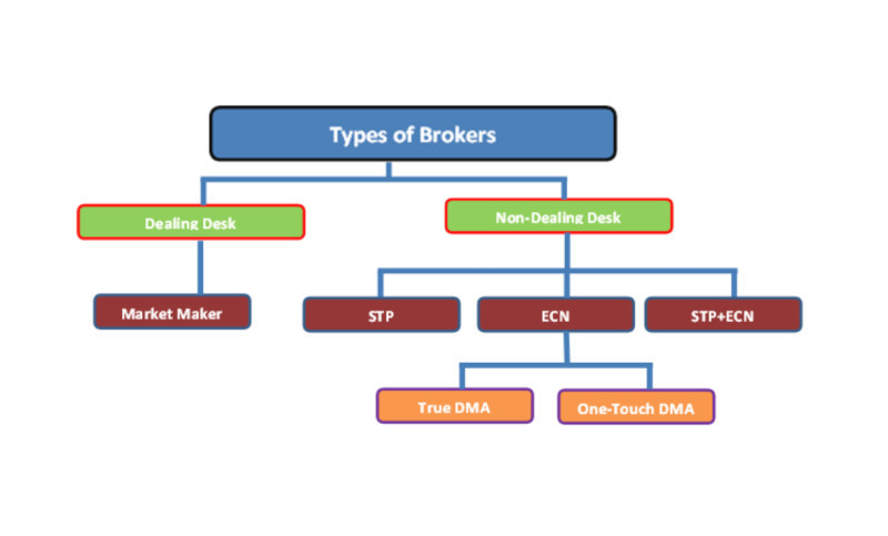 The image showcases the varieties of brokerage companies based on the types of order execution.