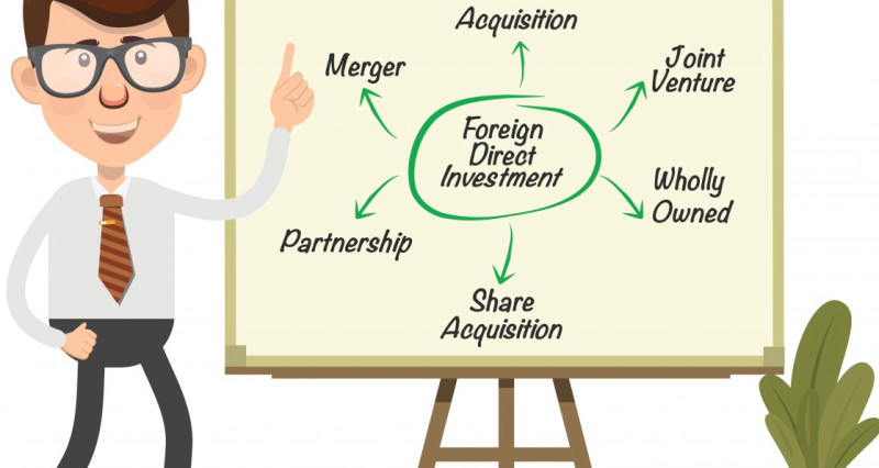 The picture shows the main forms in which direct investment can take place