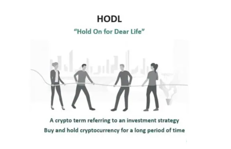 The illustration explains the essence of the HODL concept in the cryptocurrency sphere.