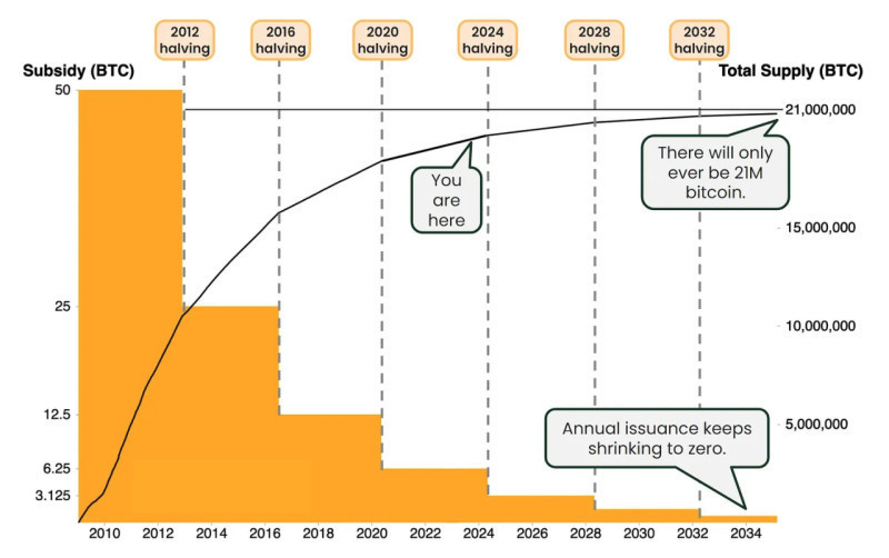 The graph vividly demonstrates how the size of miners' rewards for new blocks added to the network decreases over time.