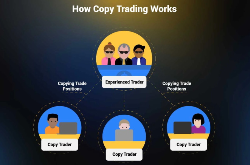 The diagram demonstrates how the copytrading system works 