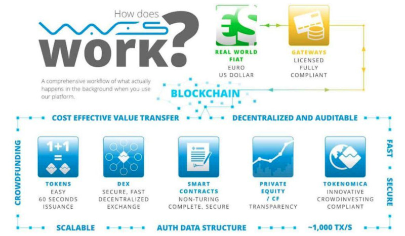 The illustration demonstrates the capabilities of the Waves platform, the main of which is the creation of new tokens 