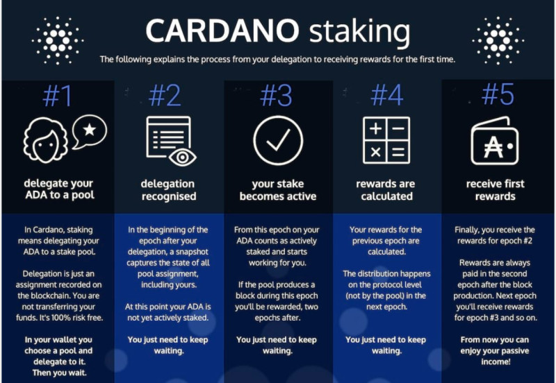     ,      Cardano