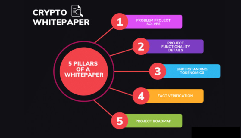 на иллюстрации демонстрируются все аспекты, которые должны быть включены в white paper криптовалюты