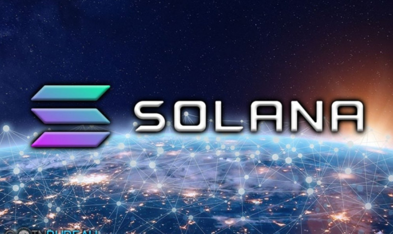 Solana стоит купить 