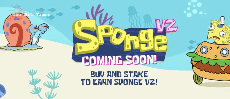 Sponge