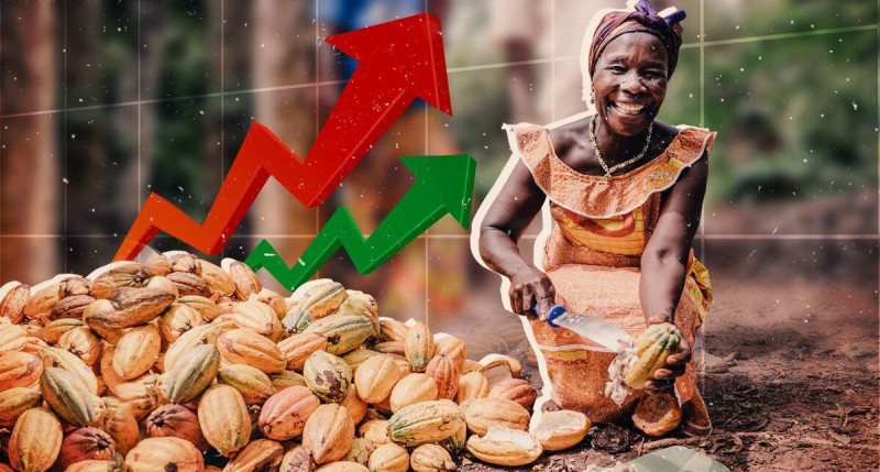 Какао бобы: цены на мировом рынке растут