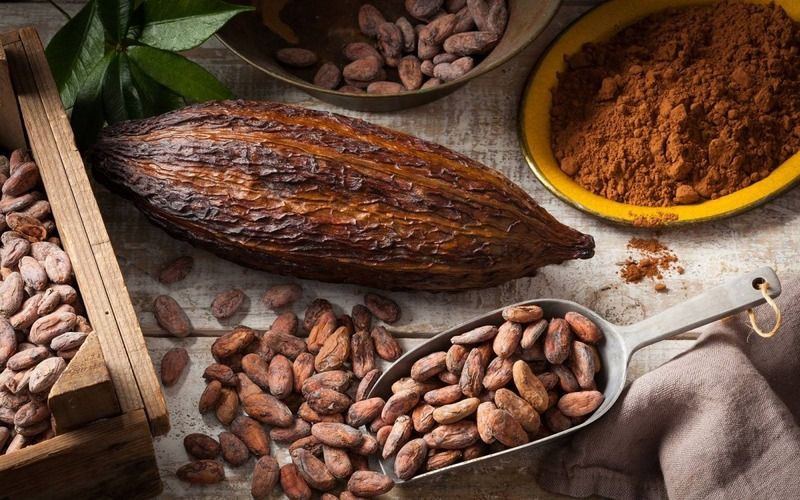 Какао бобы, порошок и зёрна