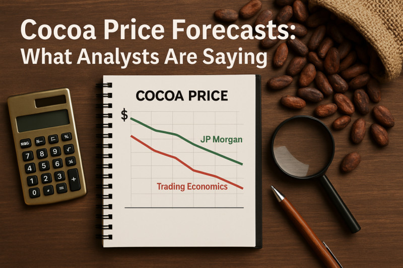 ��������� ������������: ����� �������